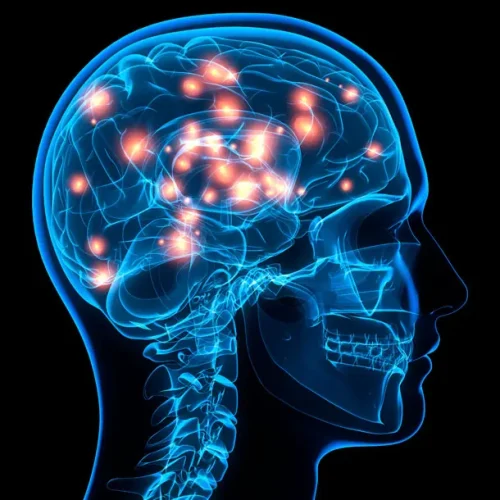 how-conditions-change-your-brain